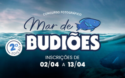 Estão abertas as inscrições para o concurso de fotos subaquáticas “Mar de Budiões II”