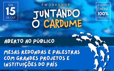  II Workshop “Juntando o Cardume” reúne especialistas para discutir rumos da conservação marinha