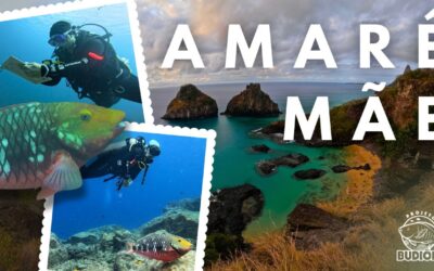 Documentário ‘A mar é mãe’, do Projeto Budiões, é selecionado para o 33º Festival Ecocine
